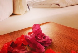 2782f567-933c-4079-a6d3-6ccedcbeadfd