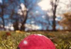 Golfer-original-309237