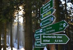 Wegweiser-tabarz-original-250969