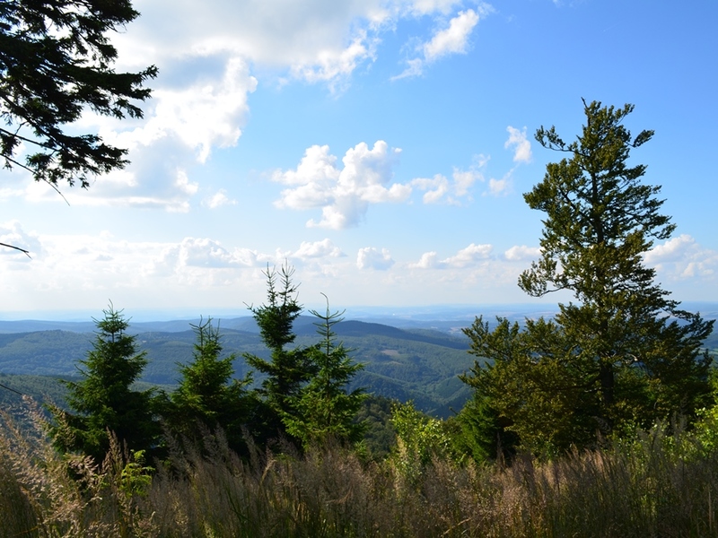 Erlebniswoche im Thüringer Wald