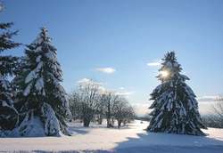 Winter10-original-263474