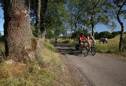 Radfahren1-original-263040
