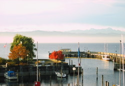 Img-4006-original-429806