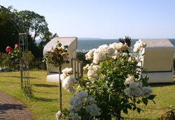 Img-6321-original-148359