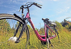 Heide-bike-001-web-original-142489
