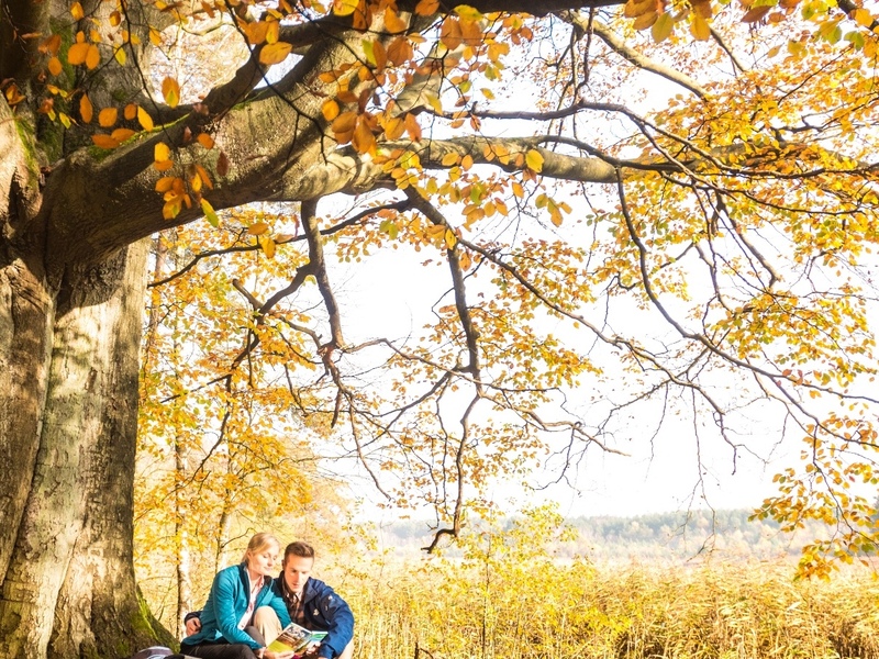 3 Tage Natur-Urlaub im Grünen vor der Metropole Hamburg