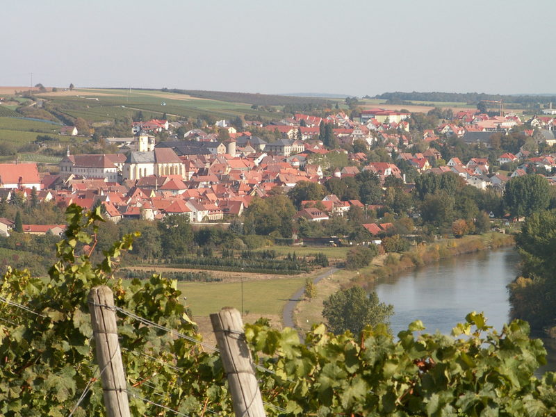 Kennenlern-Erlebnis