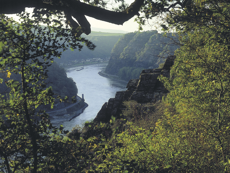"Rheinsteig-Wandern"