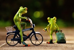 Frosch-original-429150