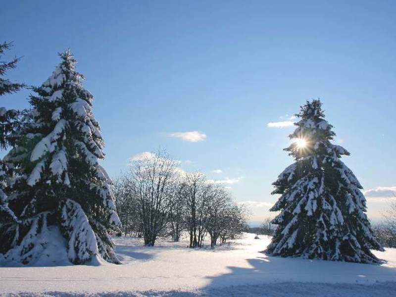 Wintertage im Vogelsberg