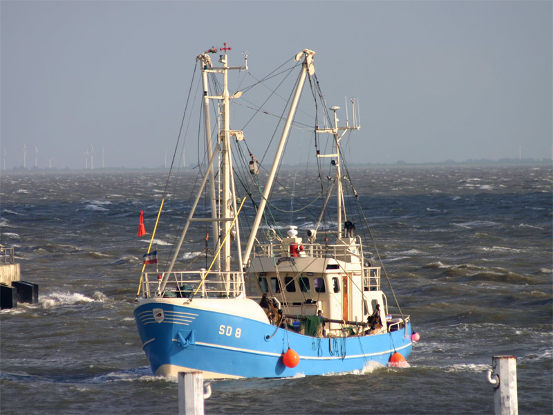 Frische Brise