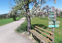 Crop--276735-t1--1920