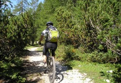 Mountain-bike-175217-960-720-original-390948