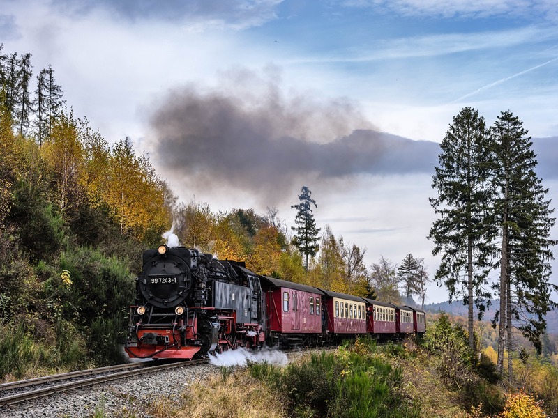 Harz erleben
