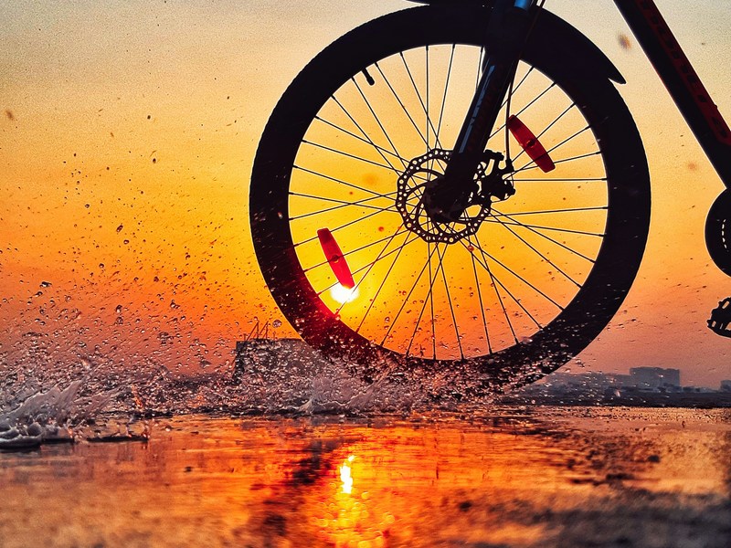 Radfahren an der Schlei
