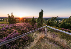 N54-_c2_a9-lueneburger-heide-gmbh-web-original-320478
