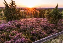 Sonnenuntergang-web