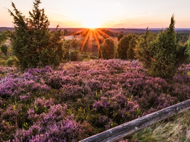 2 Tage Natur-Auszeit, wo der Alltag Pause Macht