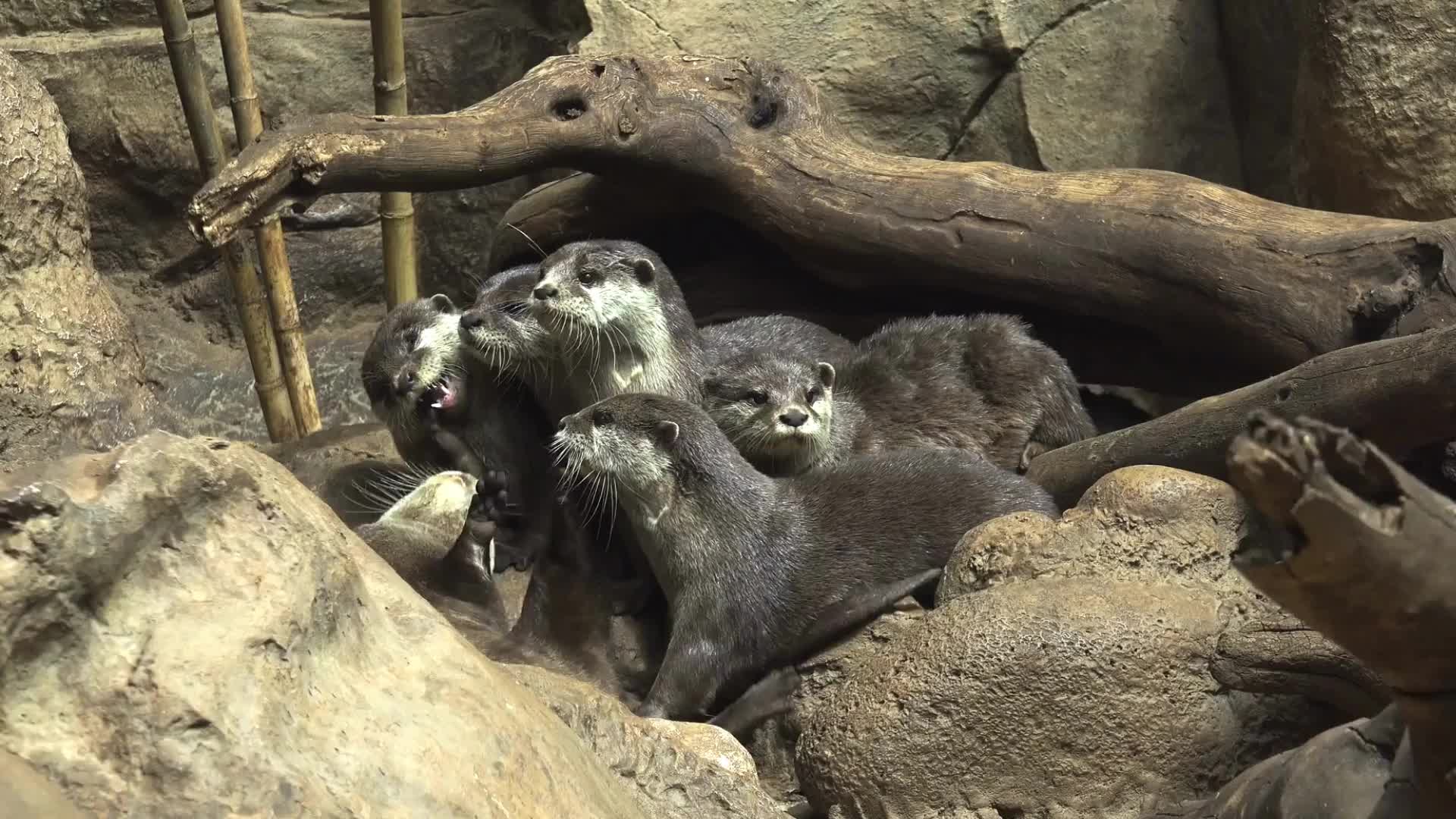 Zoos und Tierparks