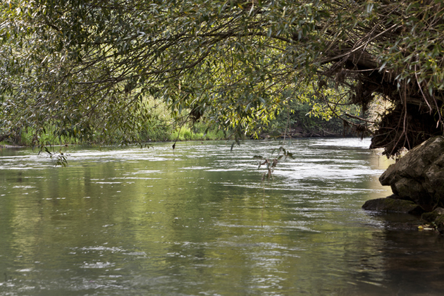 Fischwasser Wiesent