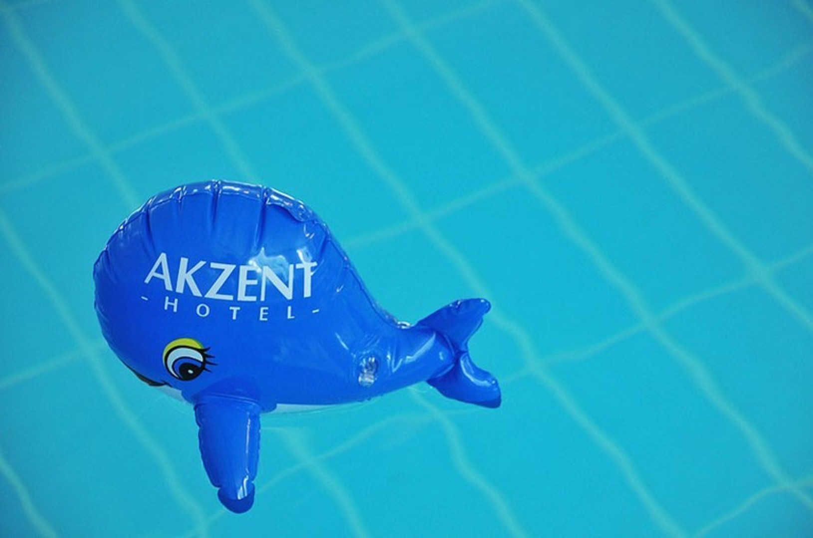 Abkühlung? Dann schwimmen Sie doch in unserem Pool!