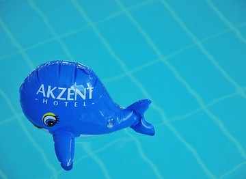 Abkühlung? Dann schwimmen Sie doch in unserem Pool!