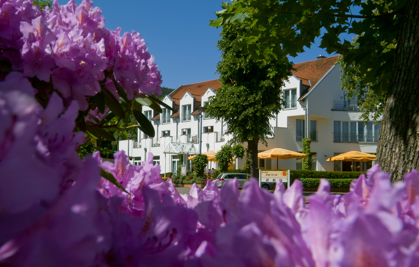 Herzlich Willkommen im AKZENT Hotel Zur Post!