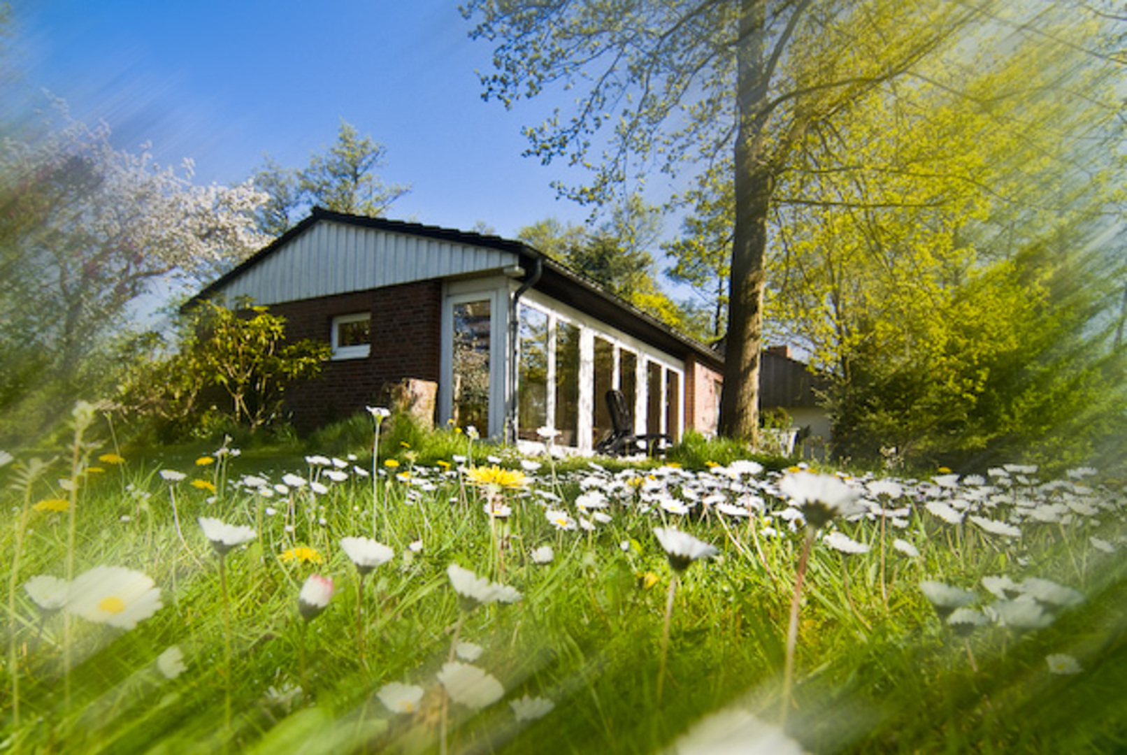 Unsere Suite am See