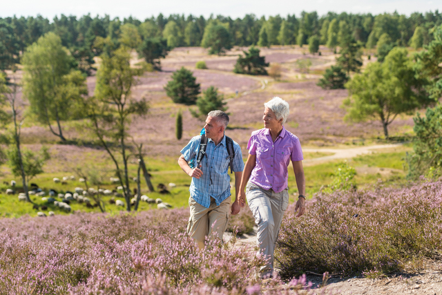 Wandern in der Heide 