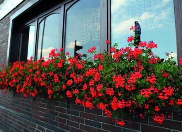Hotel_blumen_ostveen_oberhausen_oberhausen