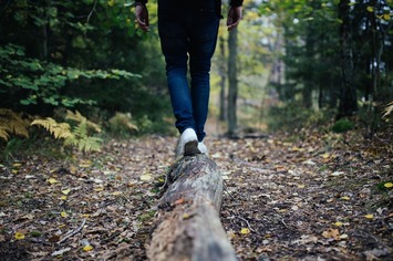 Wood-691629_1280_(1)