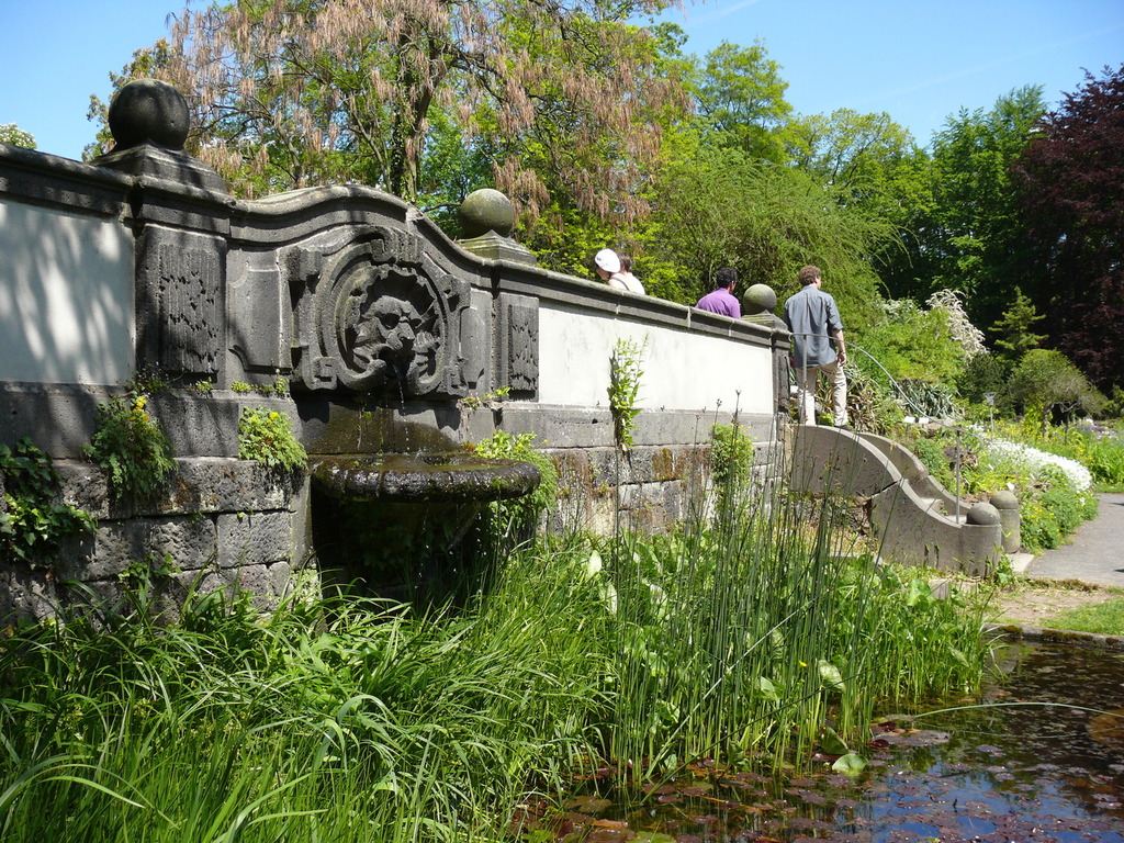 Botanischer_garten_5