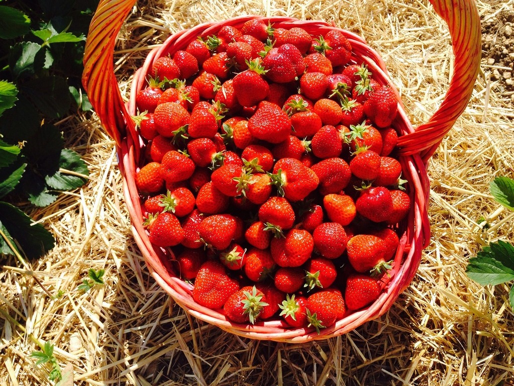 Strawberries-g93c4f6b9c_1920