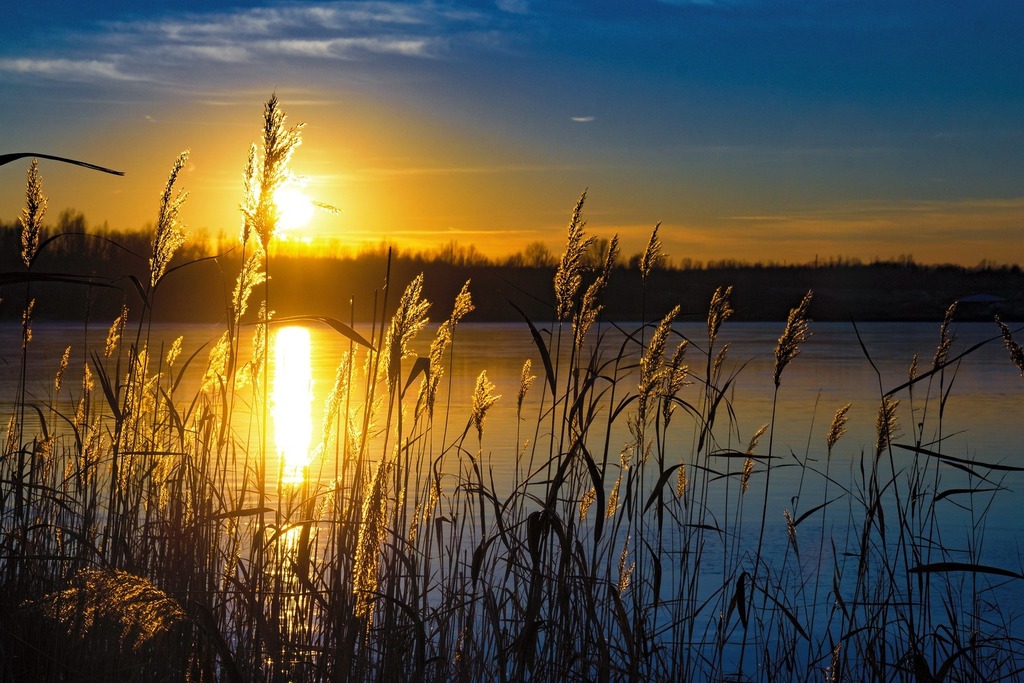 Schladitzer_see